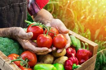 Bạn đã biết chất dinh dưỡng có trong thực phẩm organic gồm những gì chưa? 