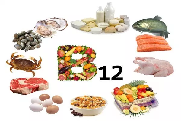 Vitamin B12 có tác dụng gì